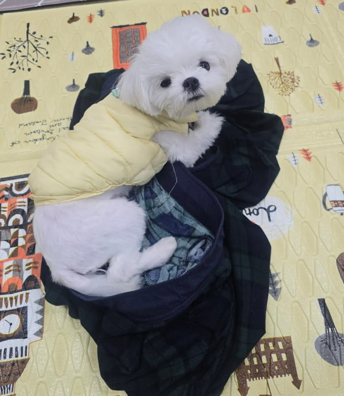 사진=김장훈 SNS