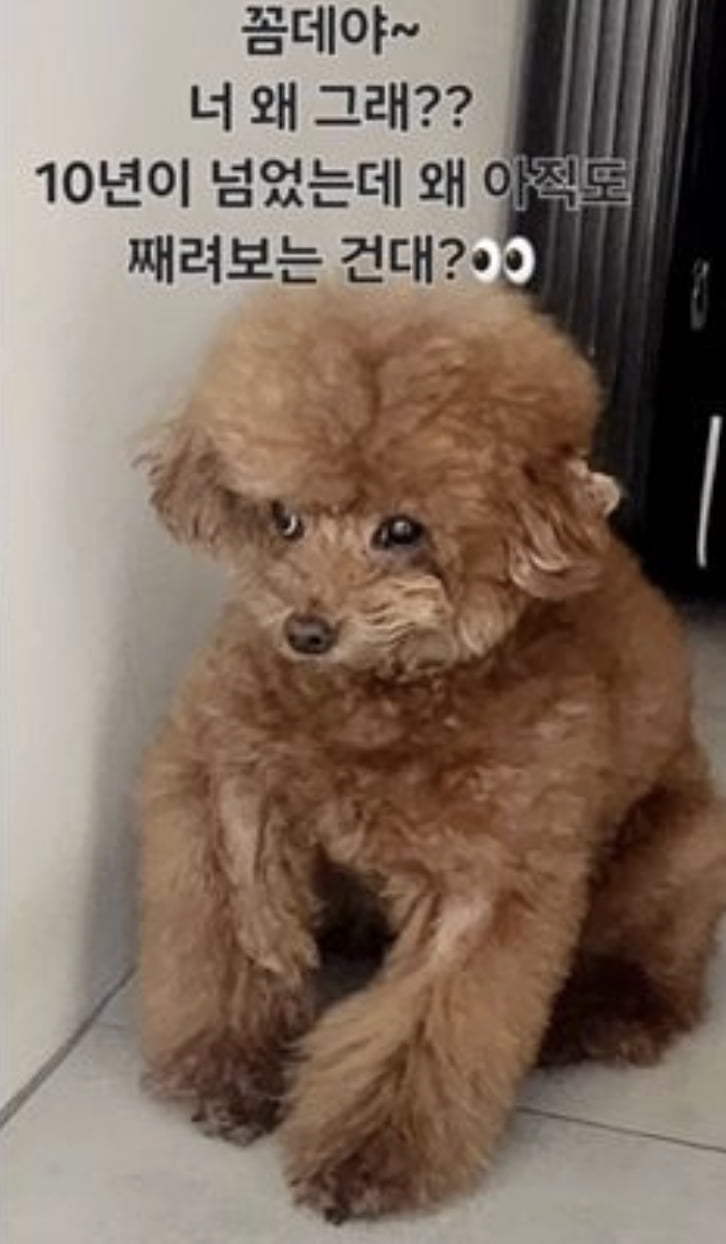 사진= 온라인 커뮤니티