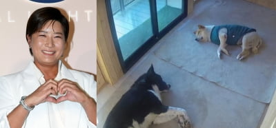 '상금만 140억' 박세리, 반려견 전용 집이 온돌방…"엄마가 박세리라 좋겠다"