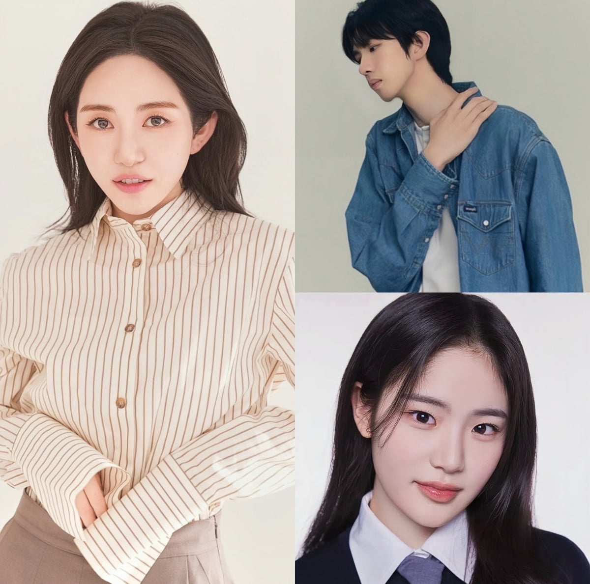 사진 제공=모덴베리코리아