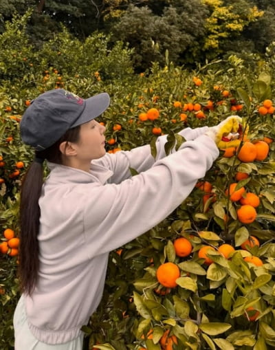 권유리, 티파니 영 결혼 선물로 귤 박스 전달하려나…'청년 농부' 변신한 근황