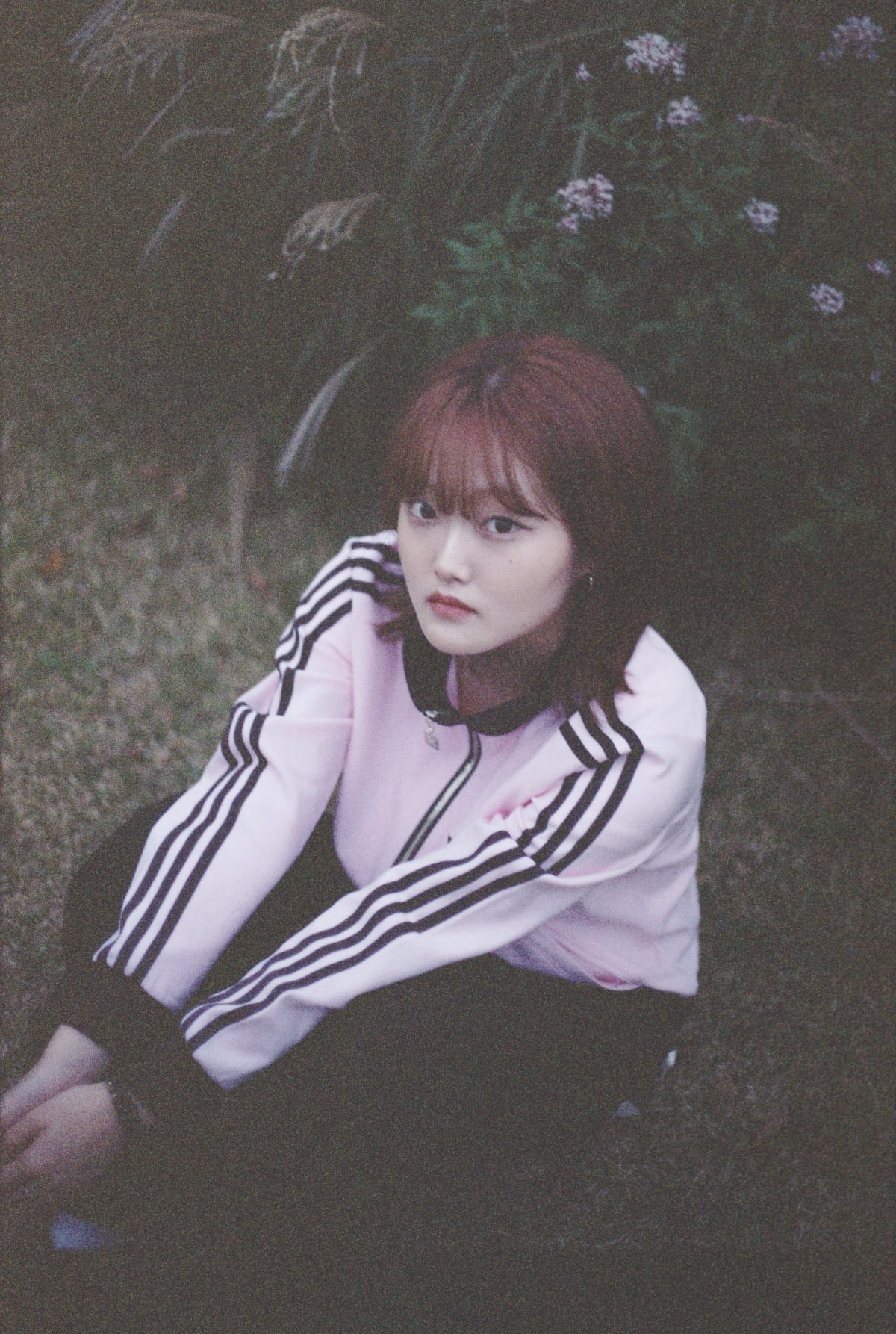 사진 제공=pacific records