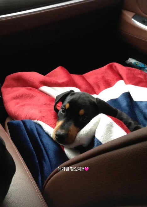 사진=배정남 SNS