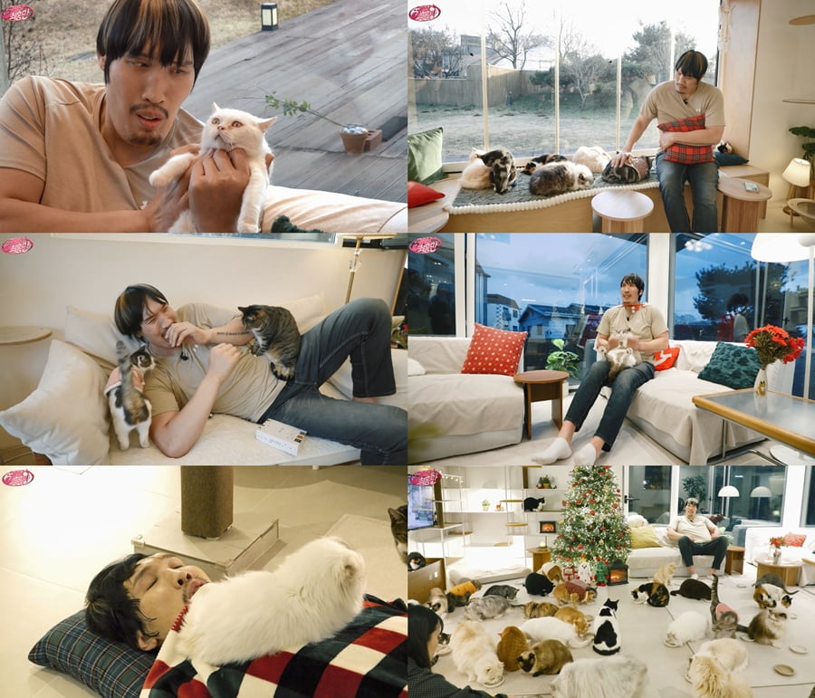 / 사진=SK브로드밴드 ‘키링남 최홍만’