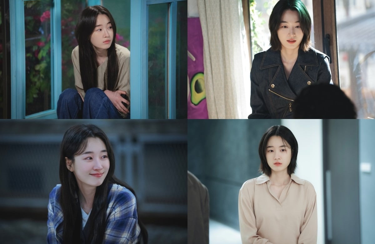 사진제공=SLL, 아이엔, 글뫼