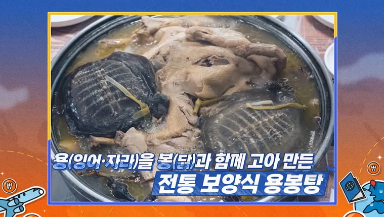 '2세 계획' 김준호, 좋다는 건 다 하는 중…"자라 먹어도 되나"('독박투어4')