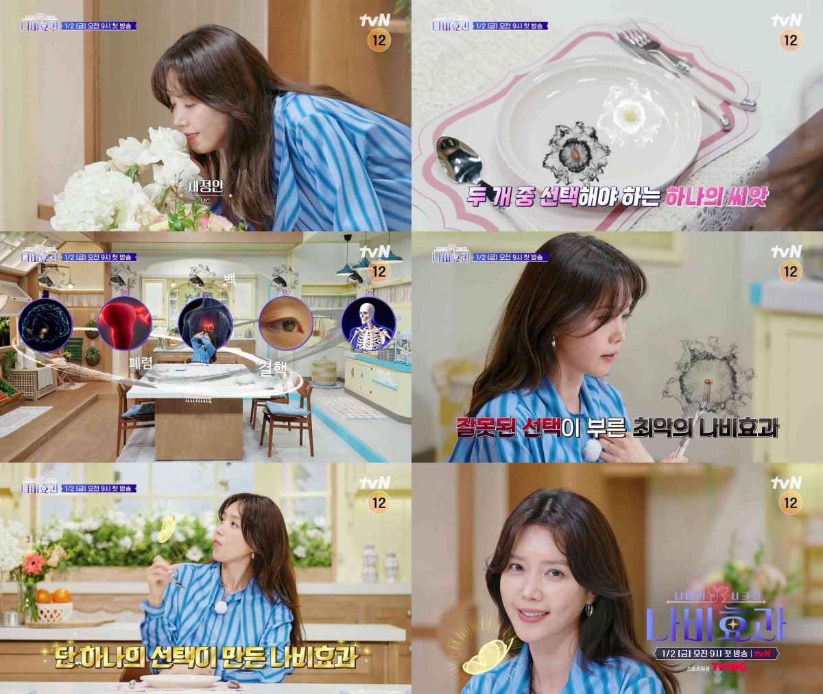 / 사진=tvN '나만의 시크릿 나비효과'