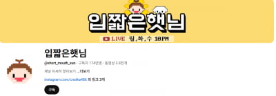 "뒷광고 논란도 피해 갔는데"…'주사 이모' 의혹 터진 입짧은햇님, 구독자 만 단위  '순삭' [TEN이슈]