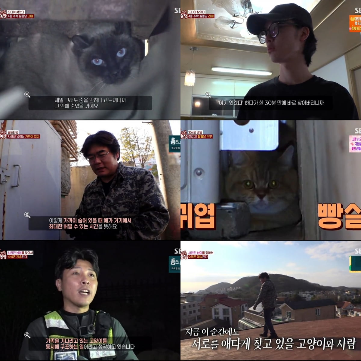 / 사진=SBS TV 동물농장'