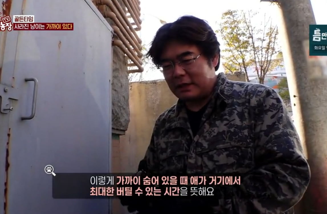 / 사진=SBS TV 동물농장'