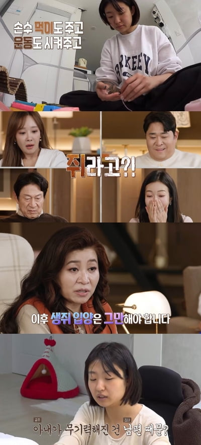 '결혼지옥' 나올 만하네…집에 생쥐 9마리 득실득실한데 "더 키우고 싶어"