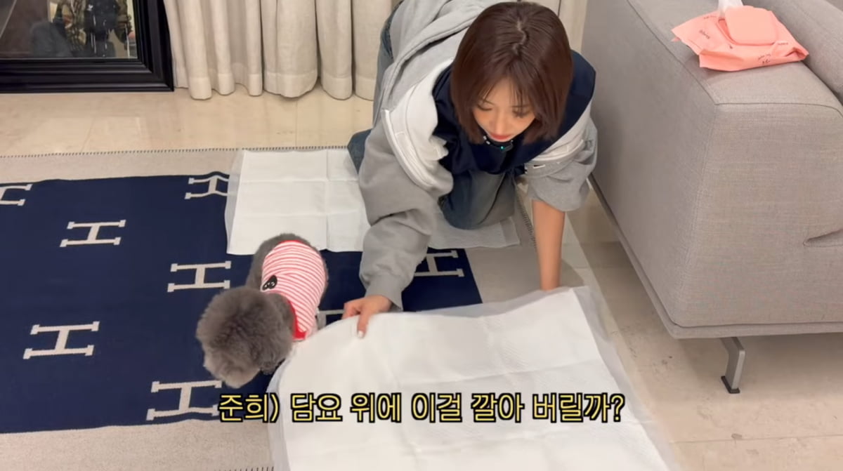 사진=고준희 유튜브