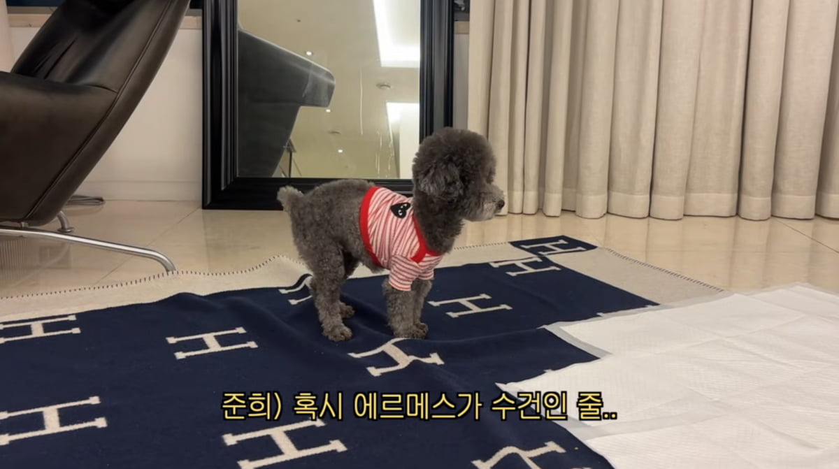 사진=고준희 유튜브