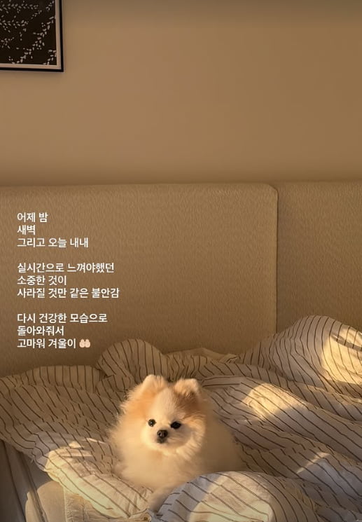 사진=이솔이 SNS 캡처