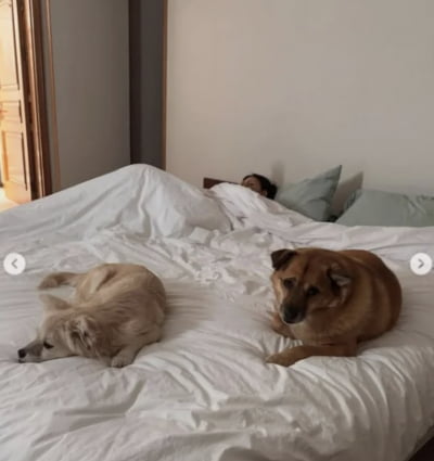 이상순, 60억원 평창동 자택서 잠든 ♥이효리 공개했다