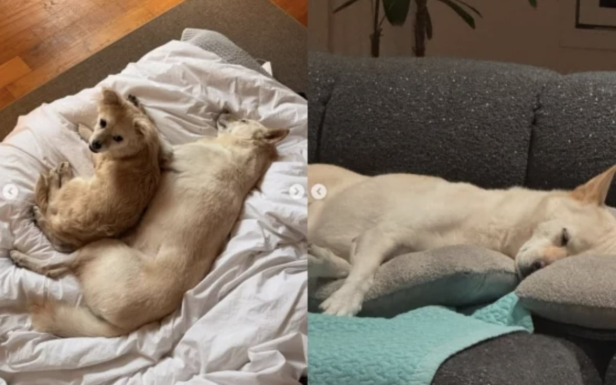 사진=가수 이상순 SNS