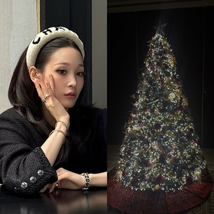 사진=애니 SNS, 라이브 방송 캡처