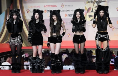 미야오, 너무 귀여운 고양이들[TEN포토]