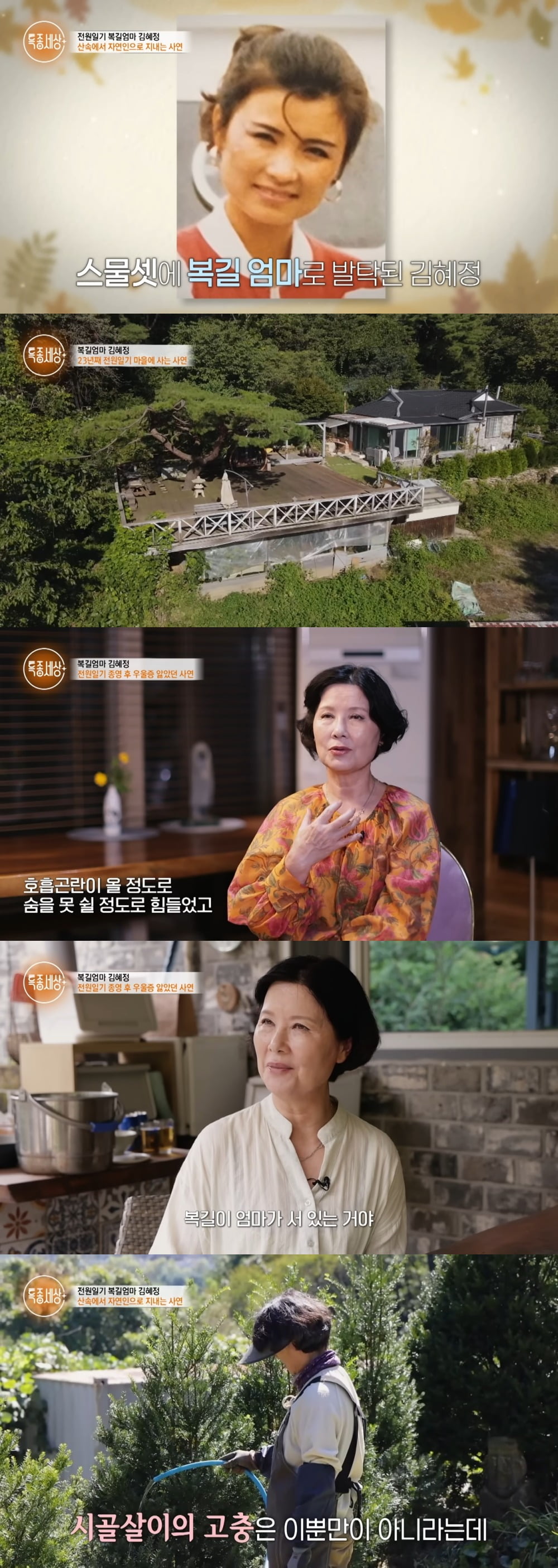 사진 = MBN '특종세상'