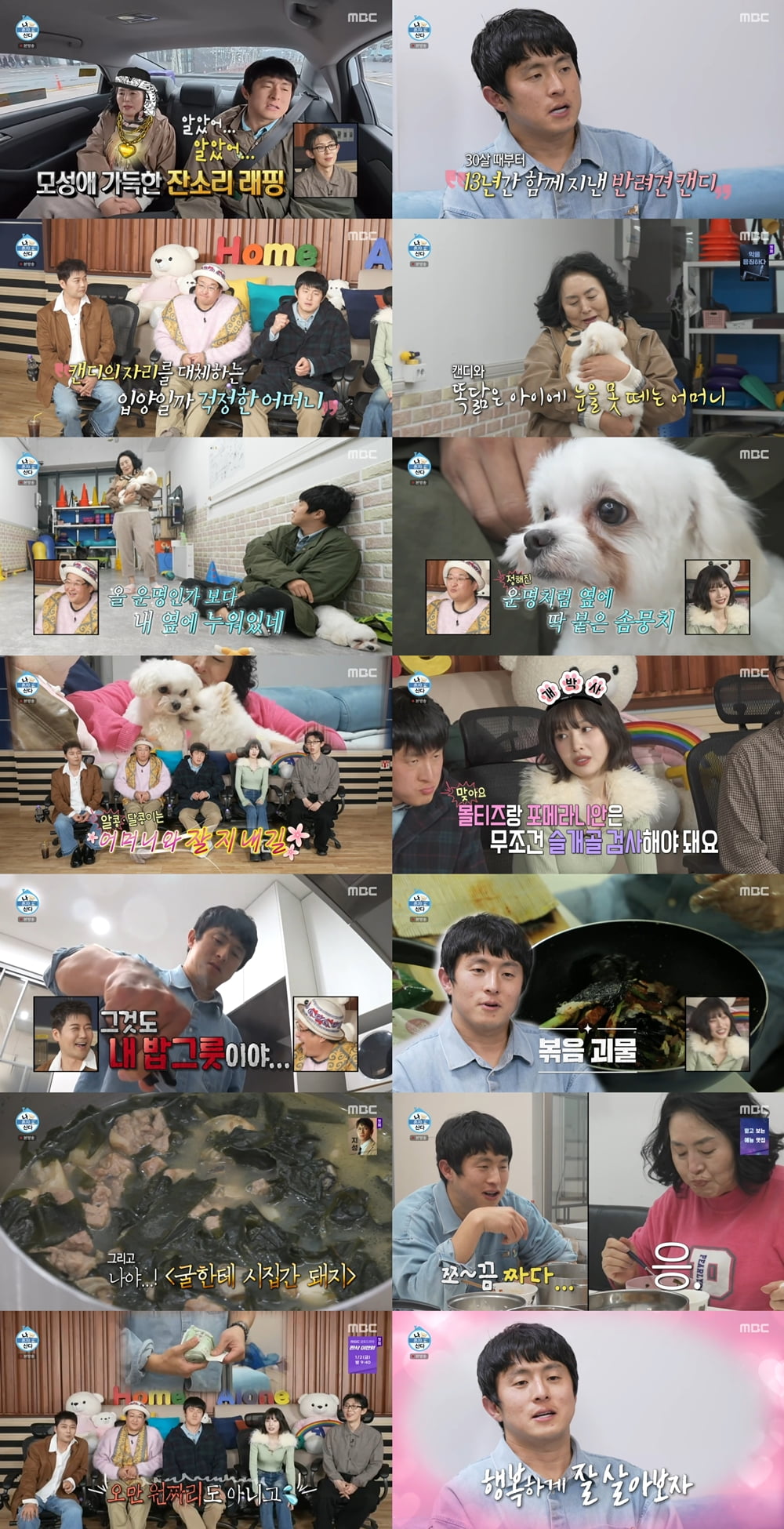 '41세 미혼' 기안84, 마침내 새 가족 생겼다…결혼 언급까지 "운명인가 봐" ('나혼산')[종합]