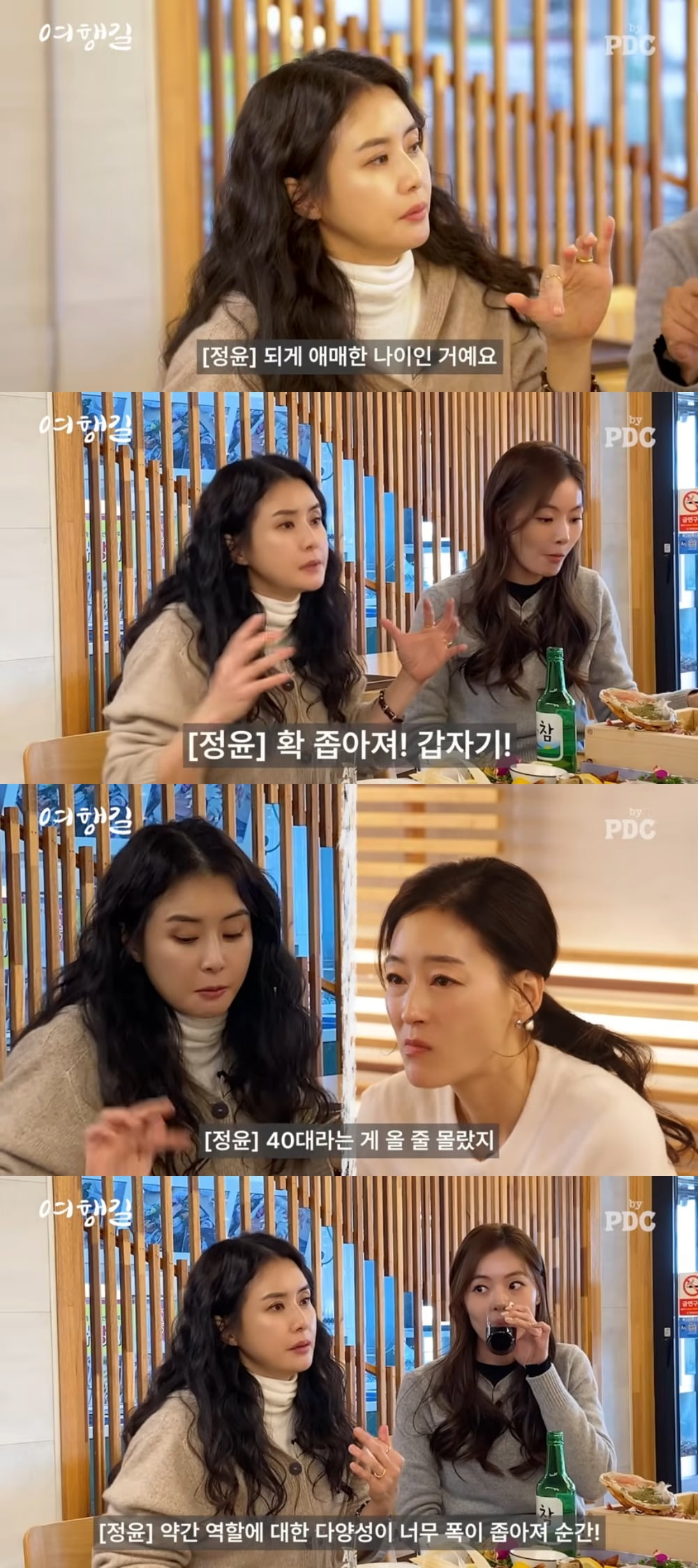 사진 = 유튜브 채널 '피디씨' 