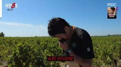 기안84, '근육 경련+탈수' 결국 쓰러졌다…"생지옥, 와인 꼴도 보기 싫어" ('극한 84')