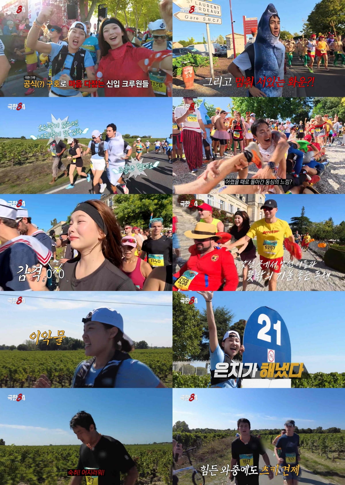 기안84, 결국 또 일냈다…근육 경련·탈수로 쓰러졌는데 "솔직히 창피해" ('극한84')[종합]