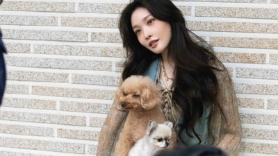 7년 인연과 결별한 청하, 박재범 손잡고 돈 쓸어 담는 중이었다…유기견 위한 선행 활동에 박차