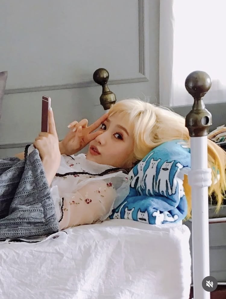 조이, 2016년 사진 올리기 챌린지 동참…볼살 빵빵하니 풋풋해