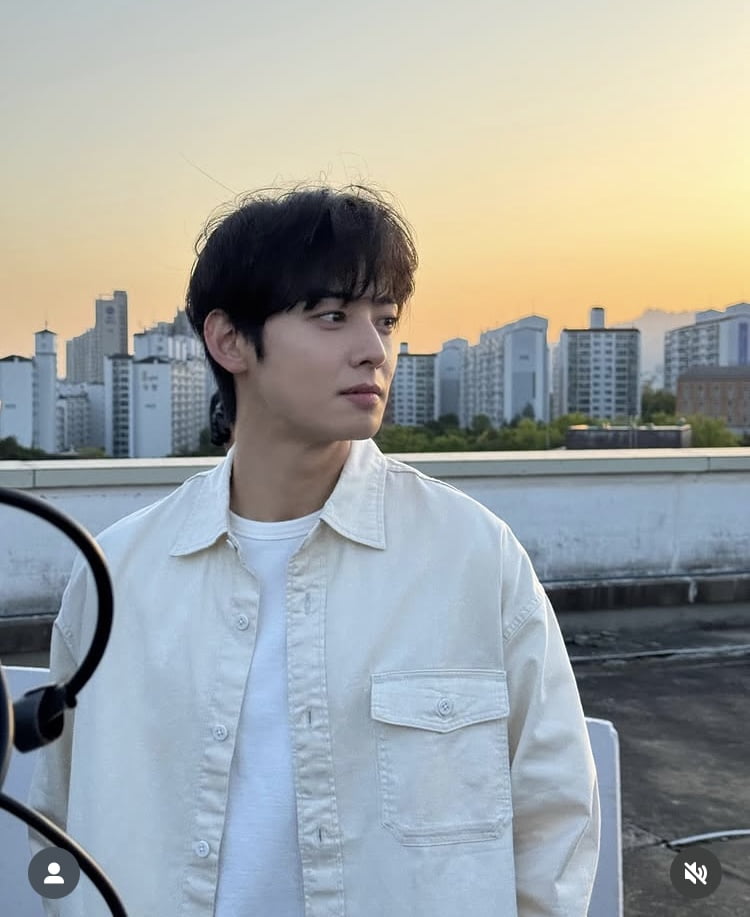 "본세만 최대 140억, 나머지는 벌금"…차은우 사건 분석한 변호사[TEN이슈]