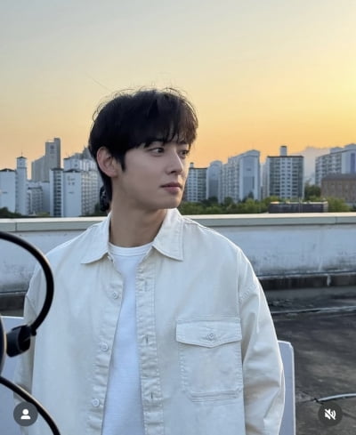 “본세만 최대 140억, 나머지는 벌금”…차은우 사건 분석한 변호사[TEN이슈]