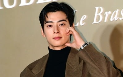 "300억원대 추징금 가능성도"…차은우, 모친 법인 탈세 의혹 [TEN이슈]