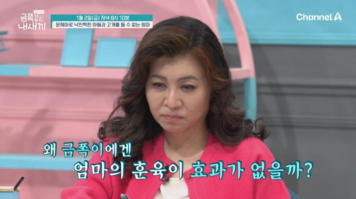 사진제공=채널A