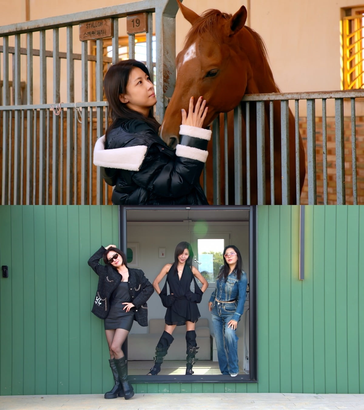 사진제공=JTBC '당일배송 우리집'