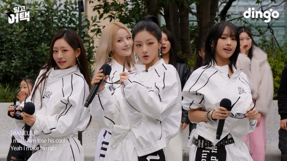 사진 제공 = 딩고