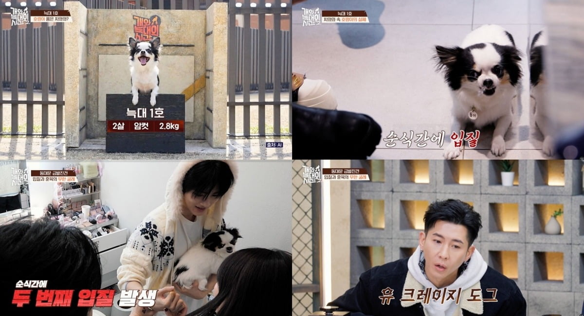 사진='개와 늑대의 시간' 캡처