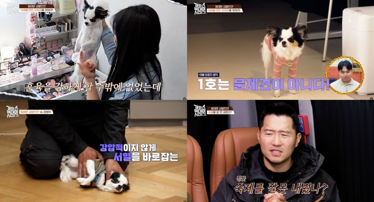 사진='개와 늑대의 시간' 캡처