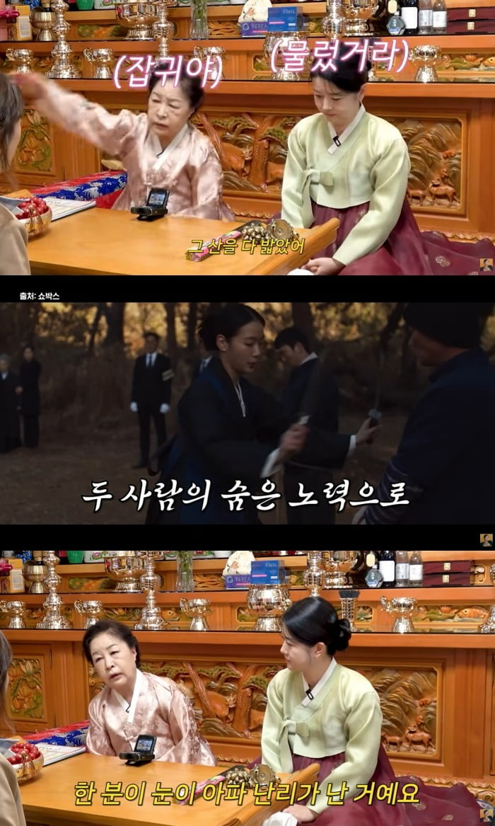 사진 = 유튜브 채널 'A급 장영란'