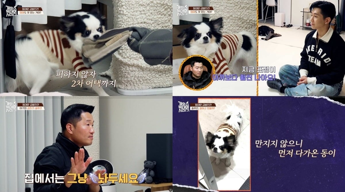 사진제공=채널A