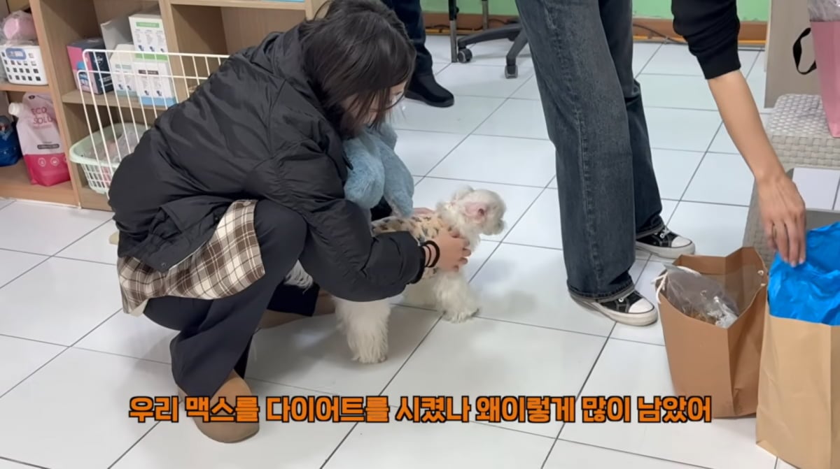 사진=황신혜 유튜브