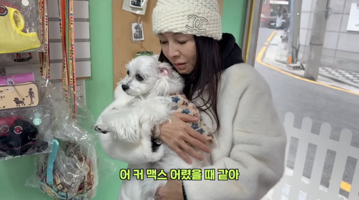 사진=황신혜 유튜브