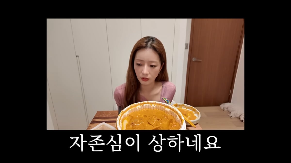 사진=윤보미 유튜브