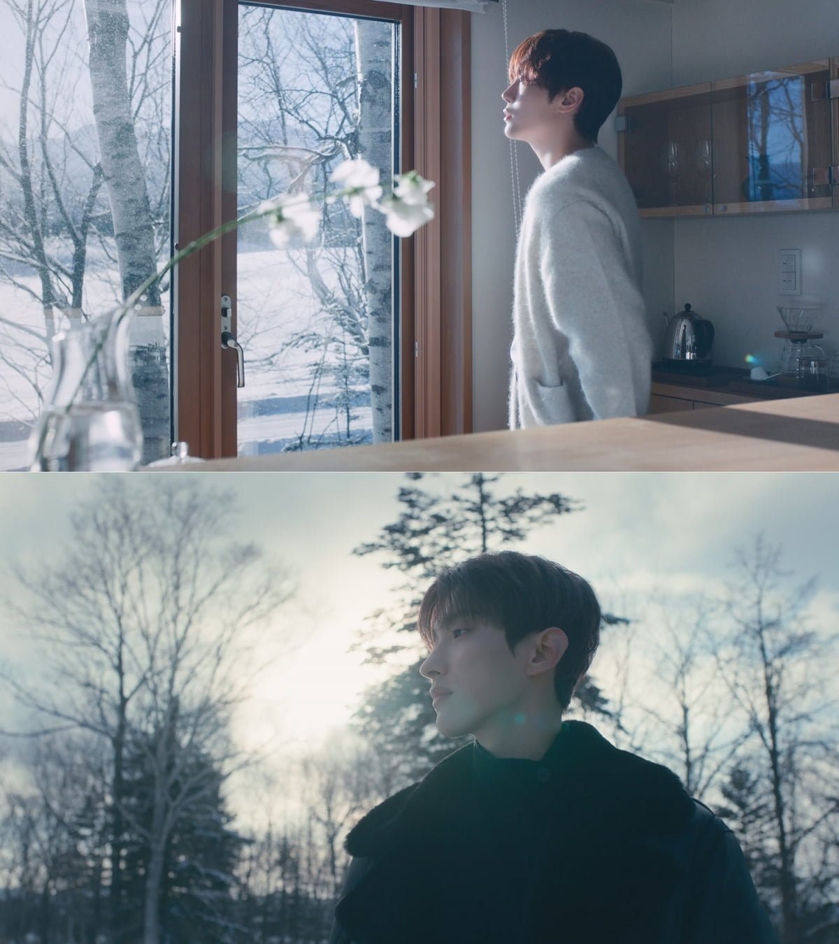 세븐틴 도겸X승관/ 사진 제공=플레디스