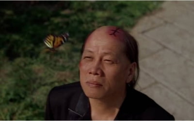 '쿵푸 허슬' 두꺼비 아저씨, 배우 양소룡 별세…향년 77세 [TEN이슈]