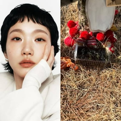 김고은, 며칠 전에도 故나철 만나러 갔나…'크리스마스 장식품' 눈길