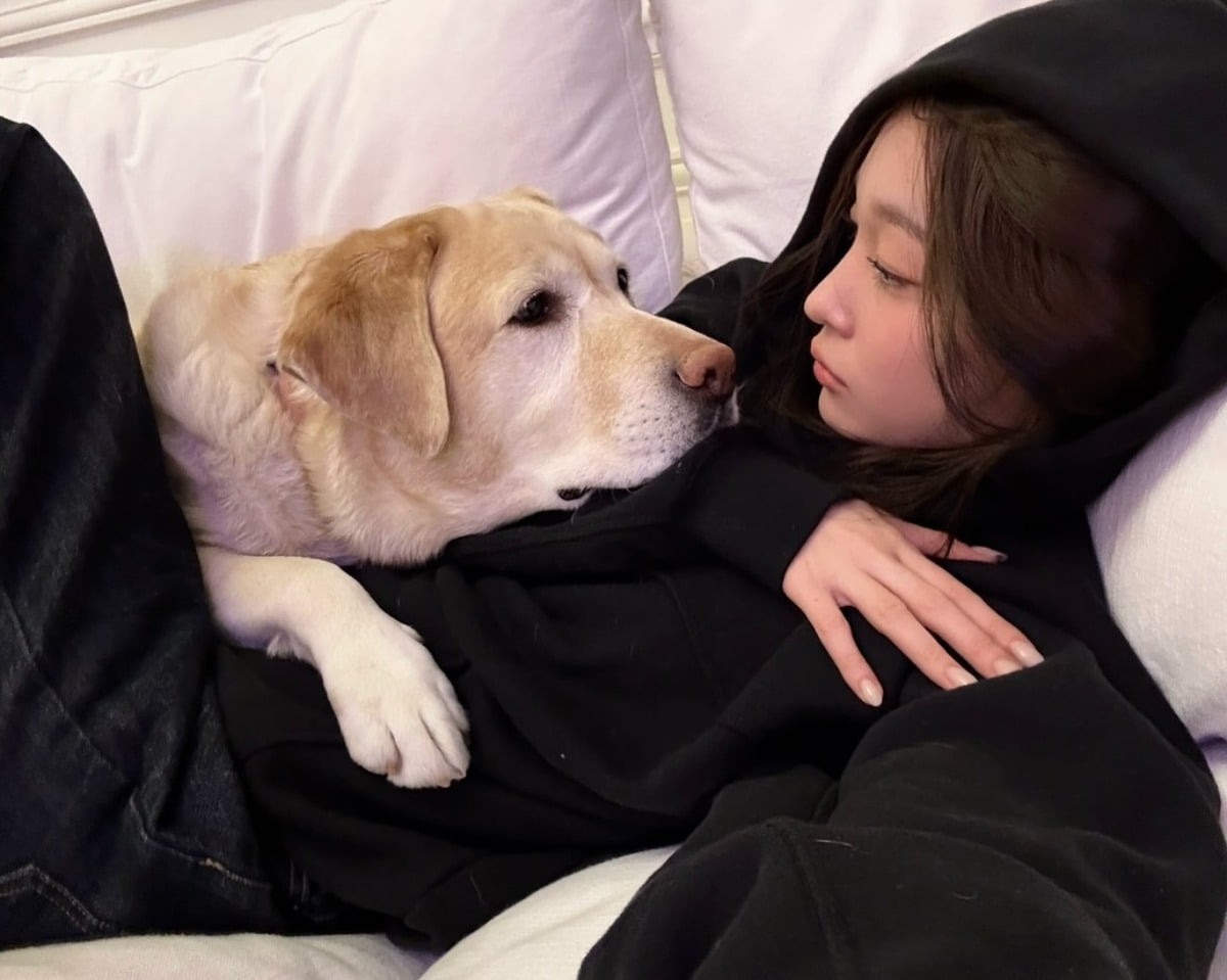 사진 = 애니 인스타그램