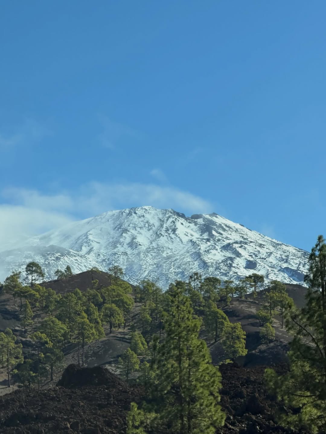 신민아♥김우빈, 신혼여행 드디어 공개됐다…행복 최고치