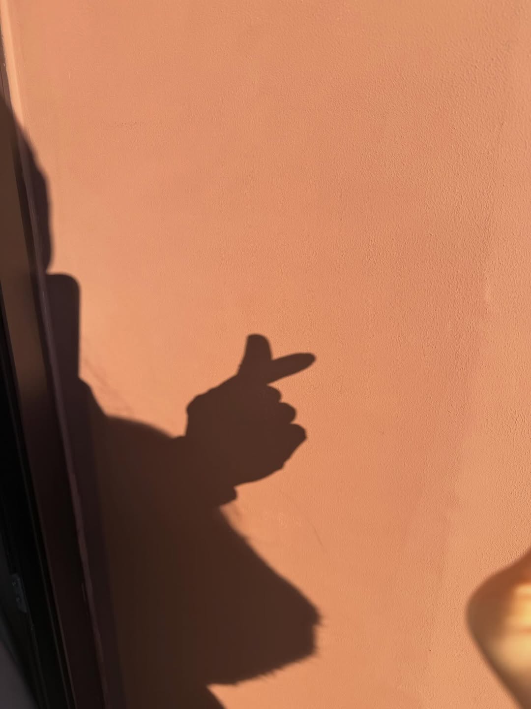 신민아♥김우빈, 신혼여행 드디어 공개됐다…행복 최고치