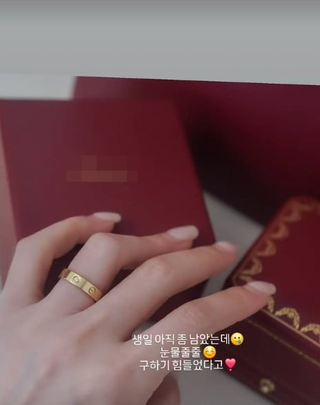 사진=서유리 SNS