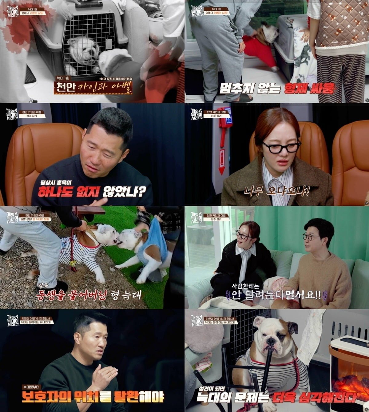 사진='개와 늑대의 시간2' 캡처